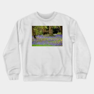 Bluebell Woods Basildon Park Berkshire UK Crewneck Sweatshirt